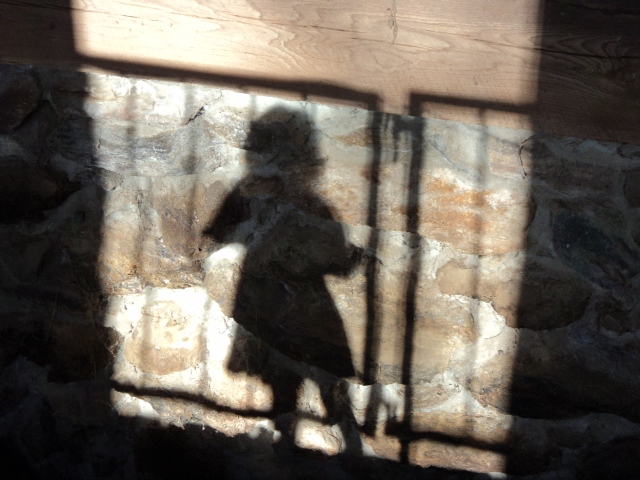 Shadows at Muscoot Farm